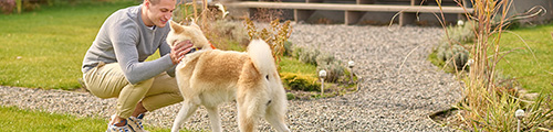 Éduquer 🐕 Mon Chien