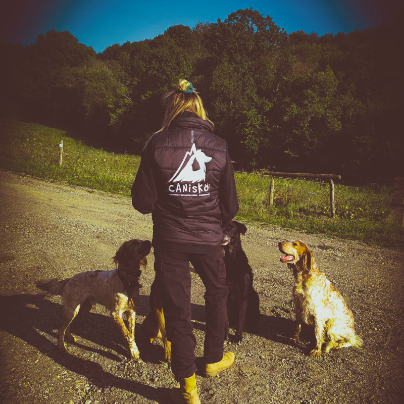 Éducation Canine